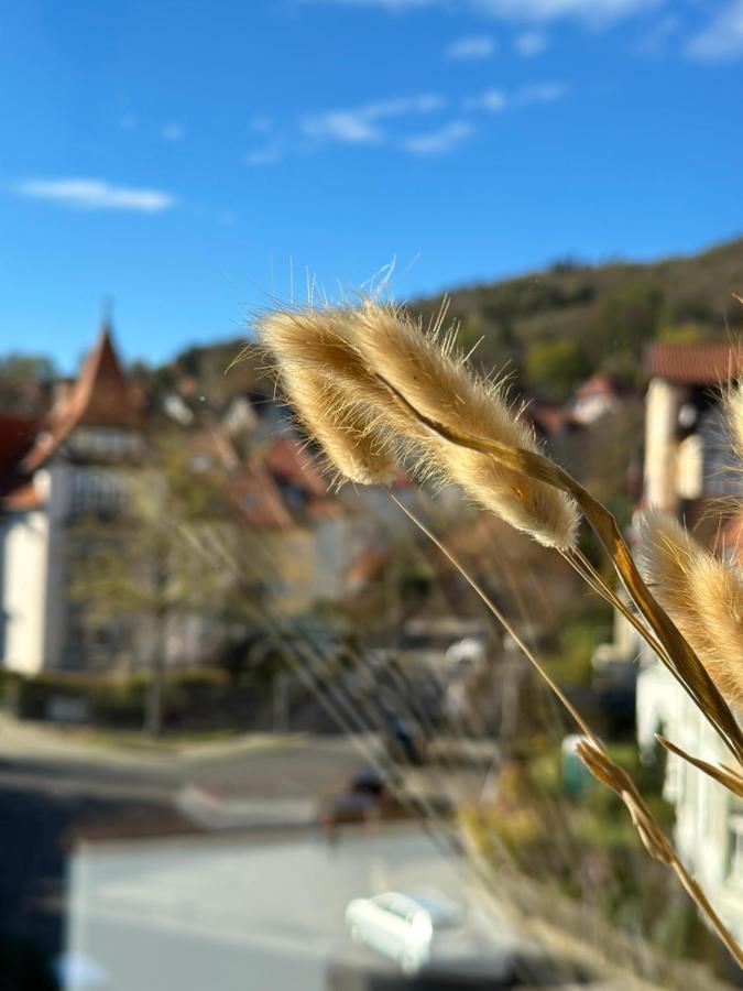 Apartmán Turm.Blick Goslar Exteriér fotografie